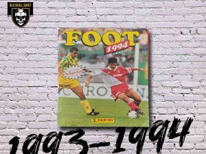 Album Panini Championnat de France 1993-1994